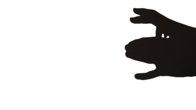 hands make shadow in form of wolf that runs and looks eyes
