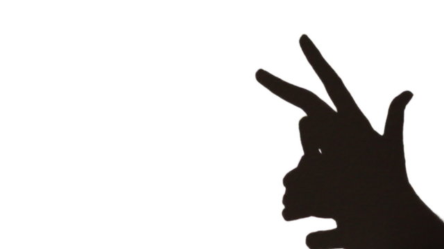 hands make shadow in form of goat that runs on white