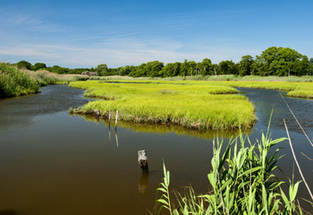 Tidal Wetland