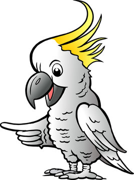 Hand-drawn Vector illustration of an Sulphur Crested Cockatoo