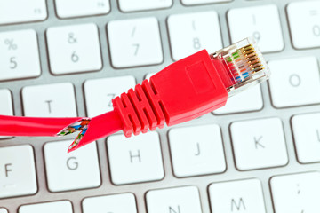 Netzwerk Kabel eines Computers