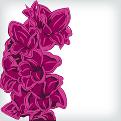 Soft floral gladiolus background