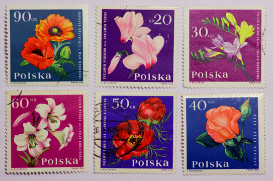 seria znaczków z kwiatami, Polska