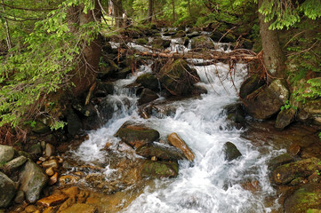 Fototapeta premium waterfall