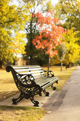 bench