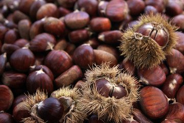 chestnuts