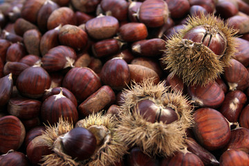 chestnuts