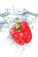 peperone rosso splash