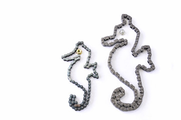 タツノオトシゴ