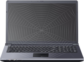 laptop w pajęczej sieci