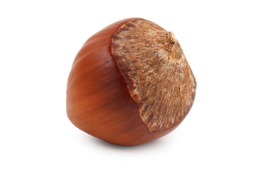 Hazelnut