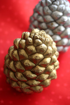 decorazione natalizia_ pigne dipinte