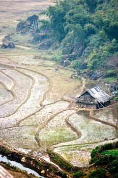North Vietnamese Landscape.