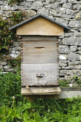 Beehive