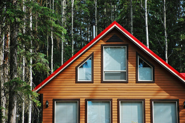 Red roof cabin in woods