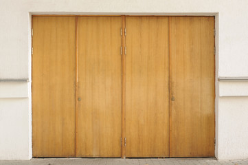 Obraz na płótnie Canvas Old Wooden Entrance Doors
