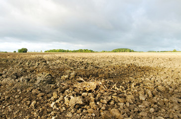 Plowed soil.