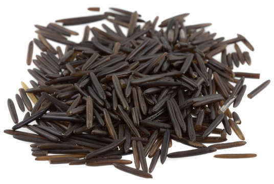 riz, riz sauvage, riz noir,  zizania palustris