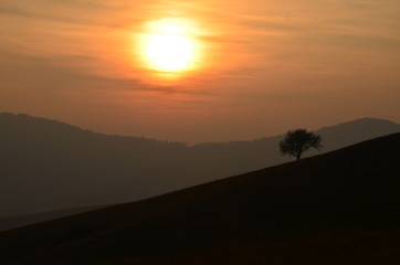 Landscape image with tree silhouette at sunset.