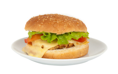 cheeseburger in a plate