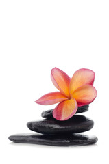 flower with zen stones