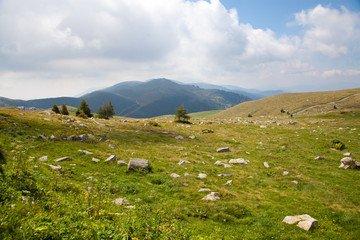 Fototapeta na wymiar Beautiful mountain - Italian alps - Monte Cimone Valle Camonica