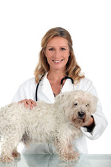 A female vet posing with a cute dog.