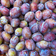 raw olives closeup, natural background