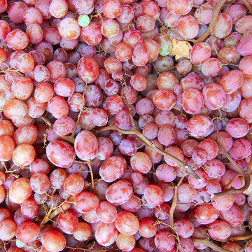 juicy red grapes isolated, natural background