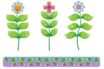 Cute flowers with border