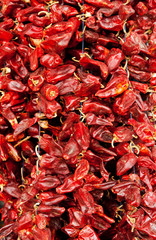 Red hot peppers