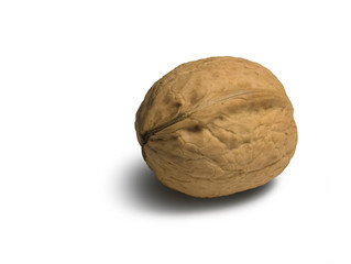 walnut