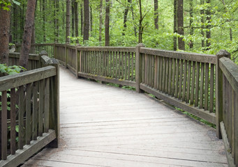 wooden bridge