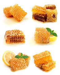 Collection of honey