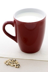 delicious soy milk