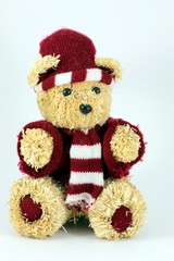 Teddy im Schneedress freigestellt