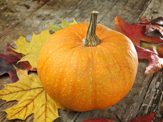 Pumpkin with autumn leaves
