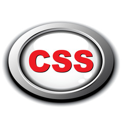 CSS ICON
