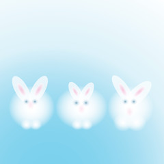 Three Rabbits / White adorable bunnies