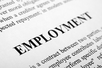 Fototapeta premium Employment
