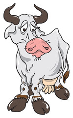 The sad cow