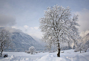 winter landscape in alps