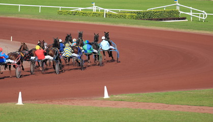 course de trot attelé