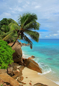 plage sauvage des c&ocirc;tes seychelloise