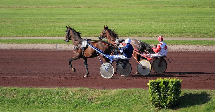 trotteurs