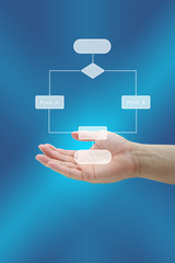 Business Plan Decision