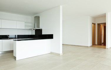 Fototapeta na wymiar new large apartment, kitchen view