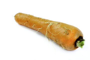 Fresh red carrot on white background