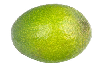 Green avocado fruit