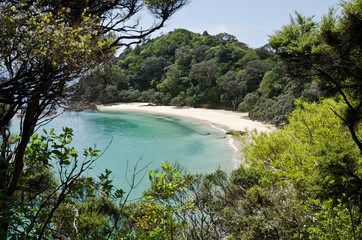 Whale Bay, New Zealand